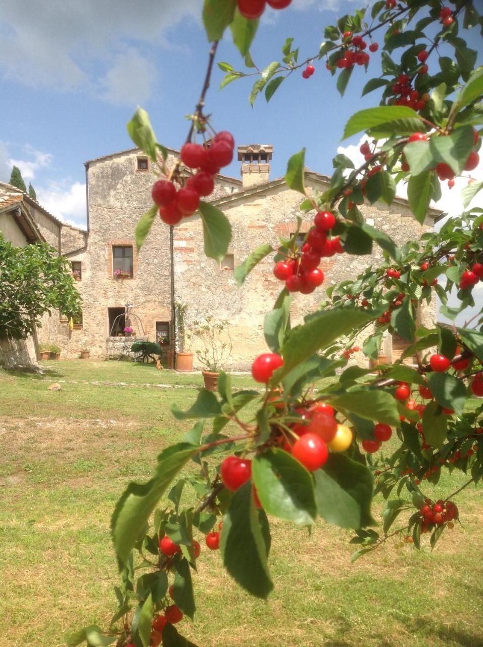 La Canonica Di San Michele Monteriggioni Exterior foto